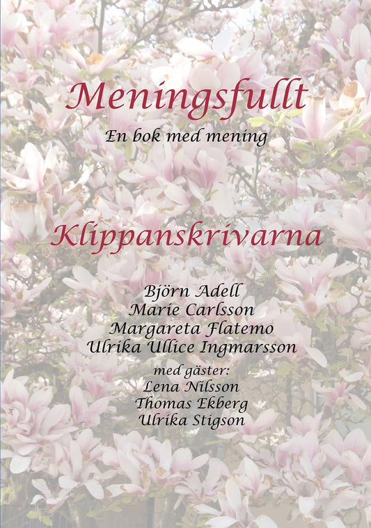 Flatemo, Margareta | Adell, Björn | Ingmarsson, Ulrika Ullice | Carlsson, Marie | Meningsfullt : En bok med mening - Kli...