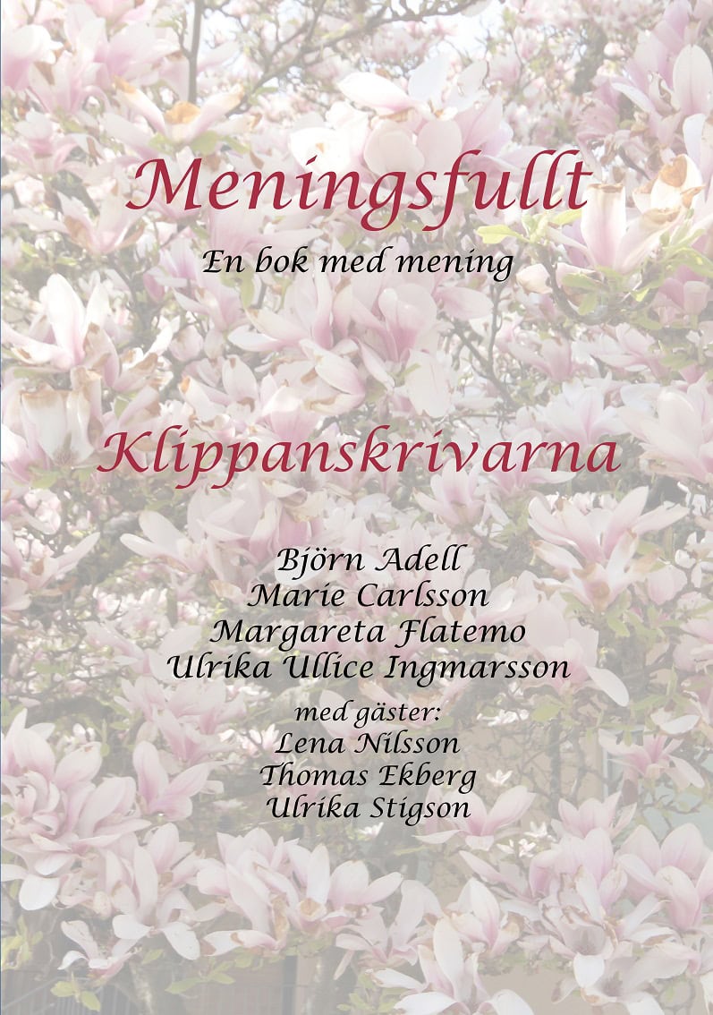 Flatemo, Margareta | Adell, Björn | Ingmarsson, Ulrika Ullice | Carlsson, Marie | Meningsfullt : En bok med mening - Kli...