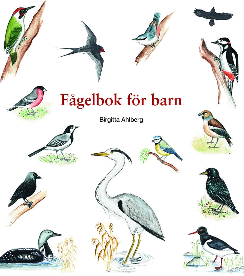 Ahlberg, Birgitta | Fågelbok för barn