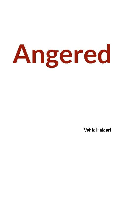 Heidari, Vahid | Angered : Vahid Heidari