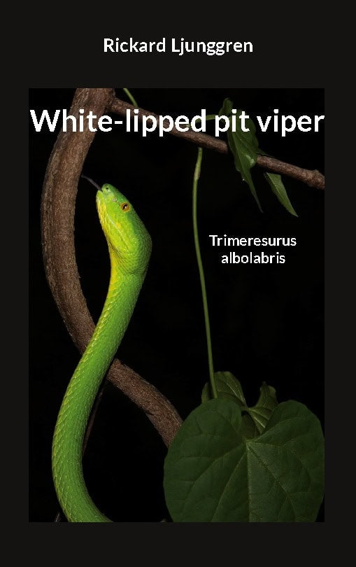 Ljunggren, Rickard | White-lipped pit viper : Trimeresurus albolabris
