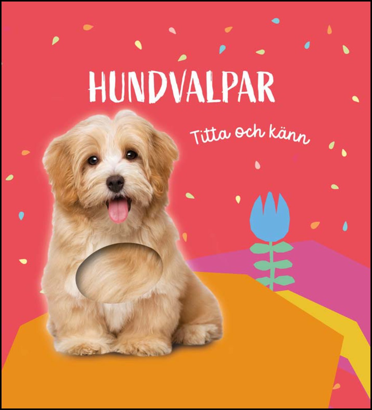 Titta och känn. Hundvalpar