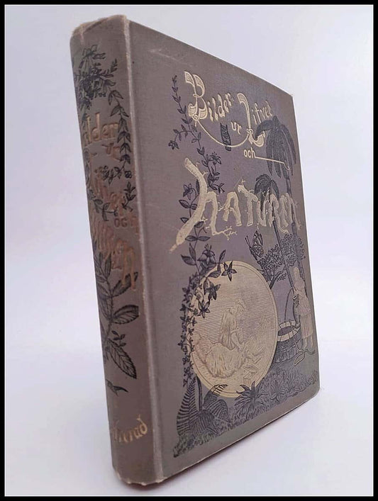 Kellogg, J. H. | Bilder ur lifvet och naturen : En beskrifning om åtskilliga folkslags seder och bruk samt värderika upp...