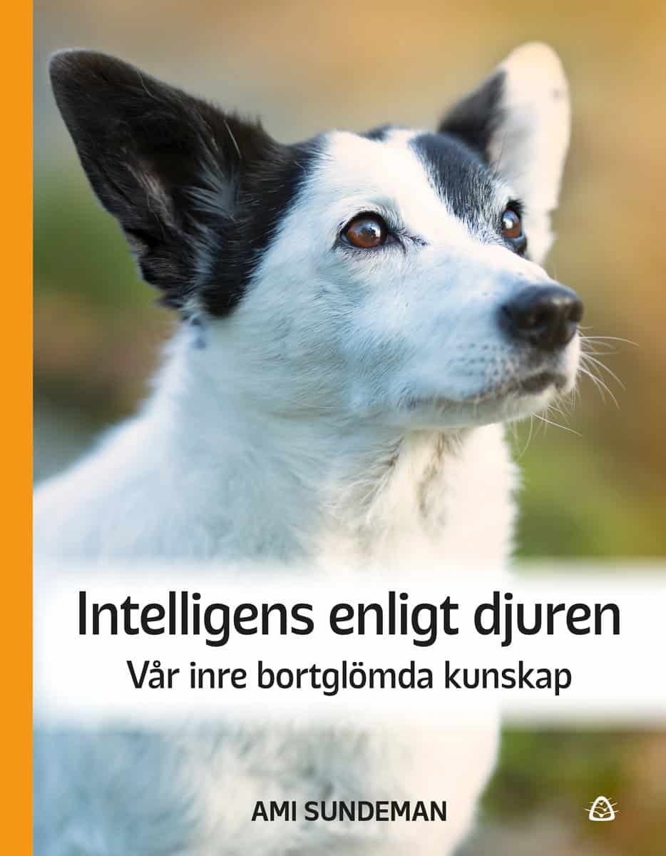 Sundeman, Ami | Intelligens enligt djuren : Vår inre bortglömda kunskap