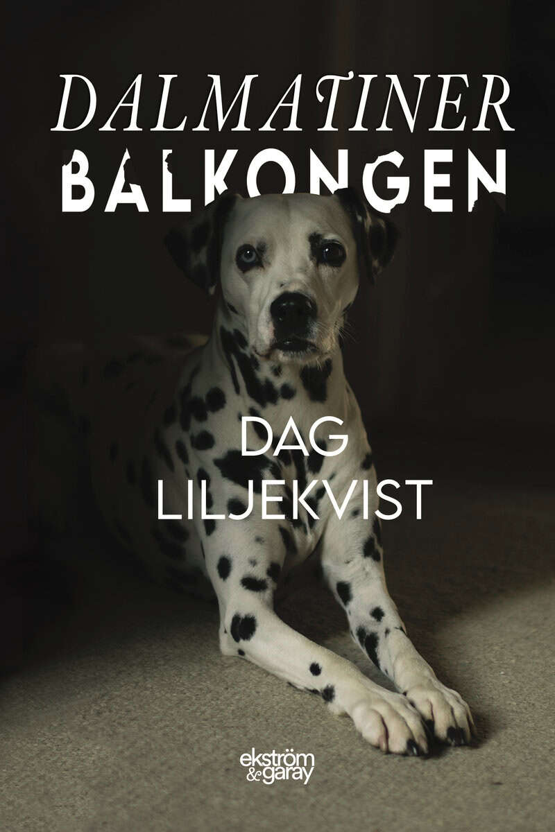 Liljekvist, Dag | Dalmatinerbalkongen
