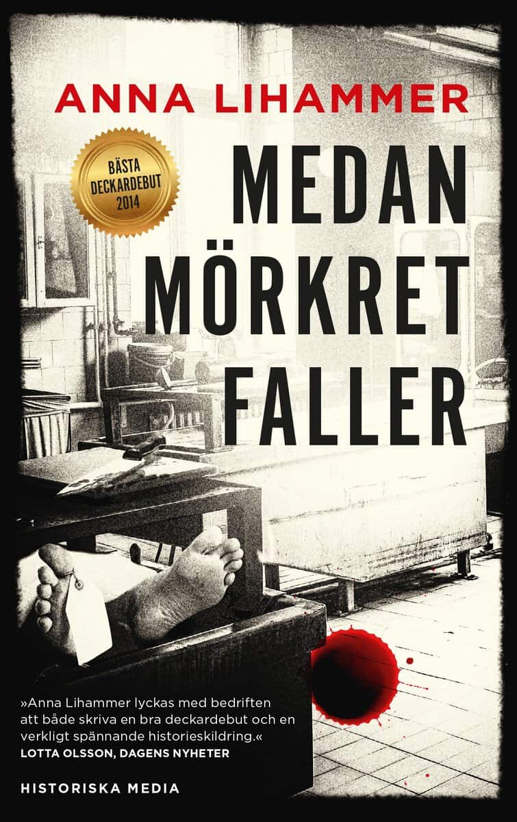 Lihammer, Anna | Medan mörkret faller