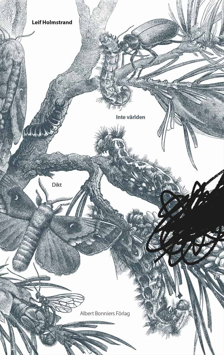 Holmstrand, Leif | Inte världen