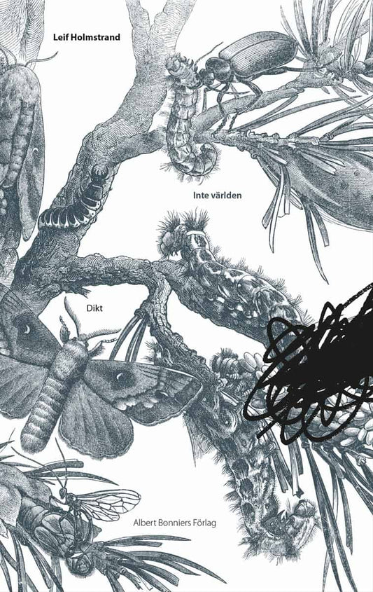 Holmstrand, Leif | Inte världen