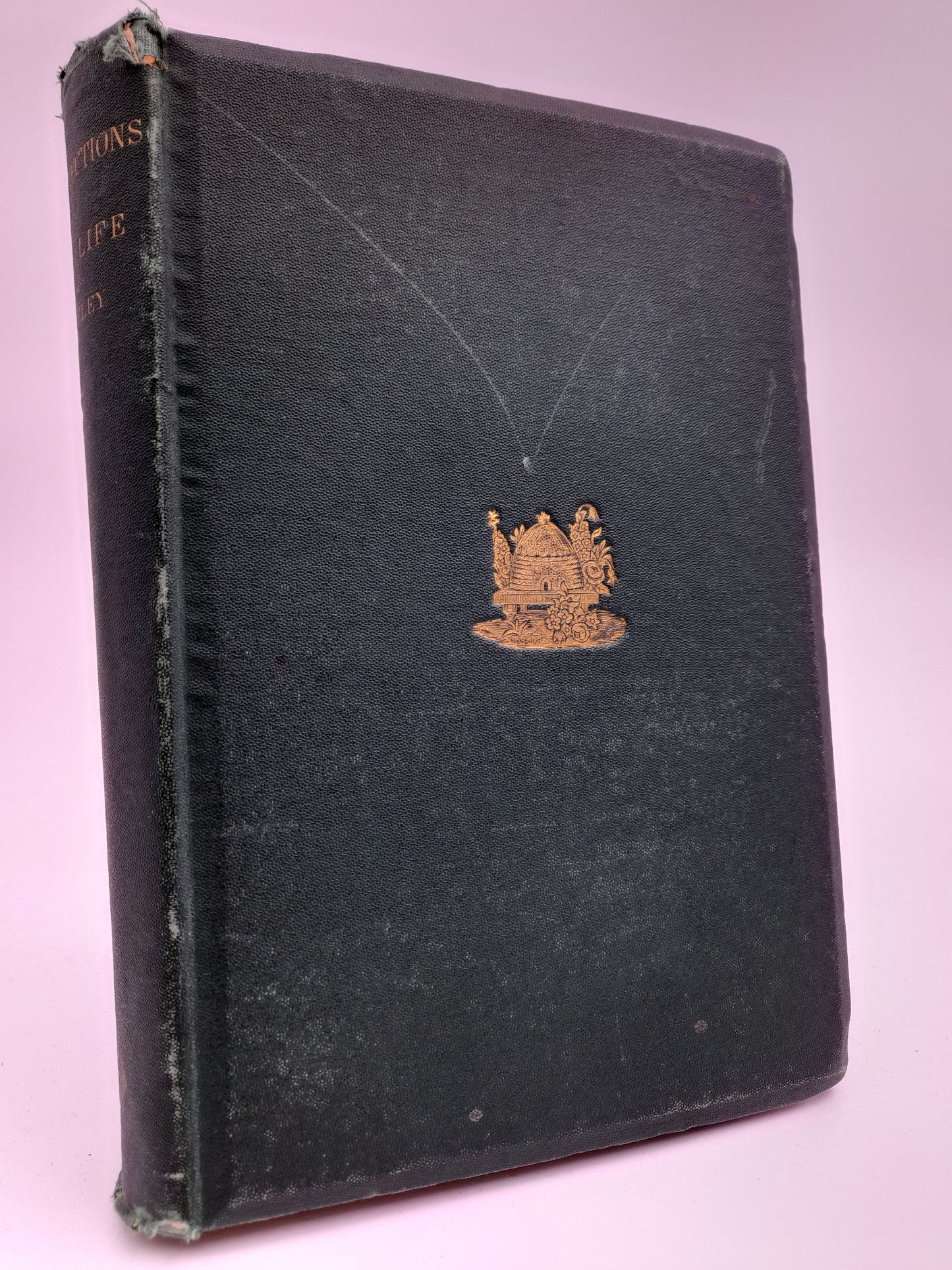 Greeley, Horace | Recollections of a busy life