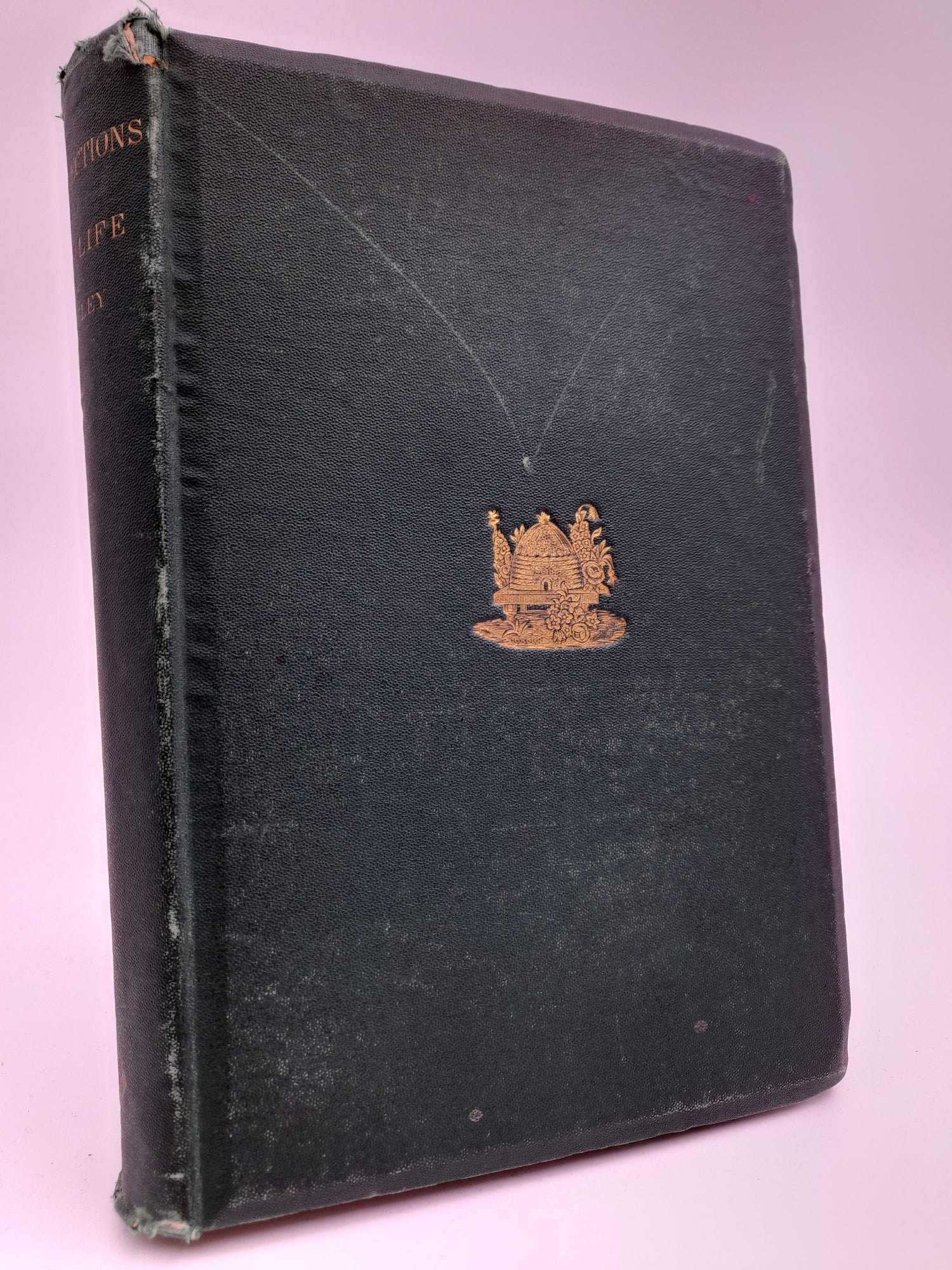 Greeley, Horace | Recollections of a busy life