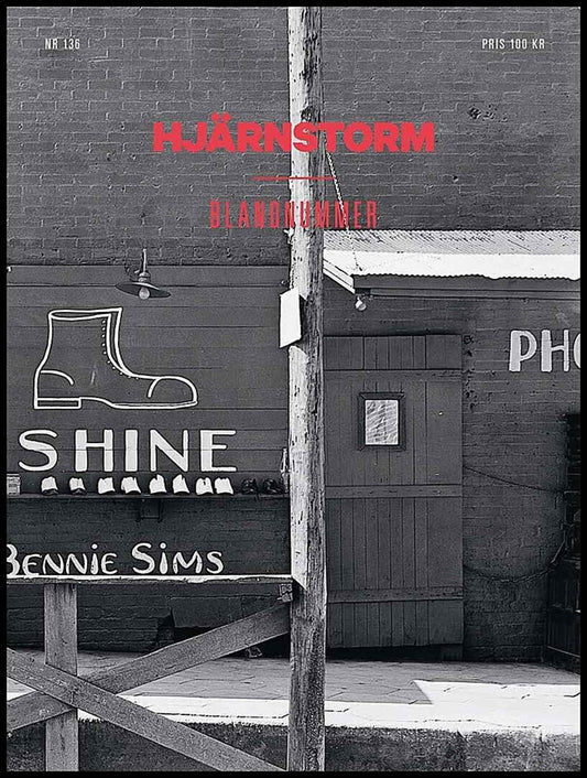 Hjärnstorm | 2020 / 136 : Blandnummer om bildkonst