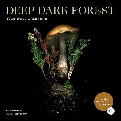 Hajnoczky, Julya | Deep Dark Forest 2025 Wall Calendar