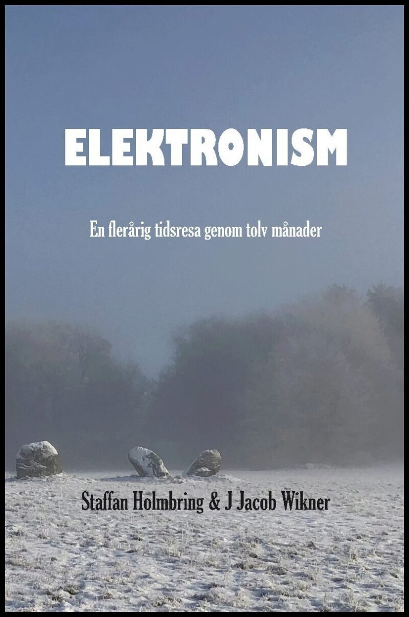 Holmbring, Staffan | Wikner, J. Jacob | Elektronism : En flerårig resa genom tolv månader