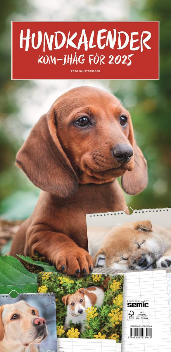 Semic, Bokförlaget | Hundkalender 2025