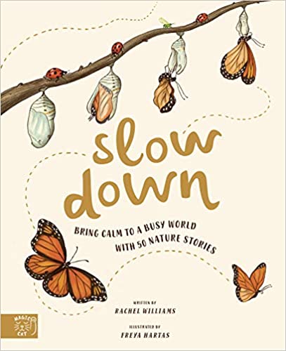 Rachel Williams | Slow Down