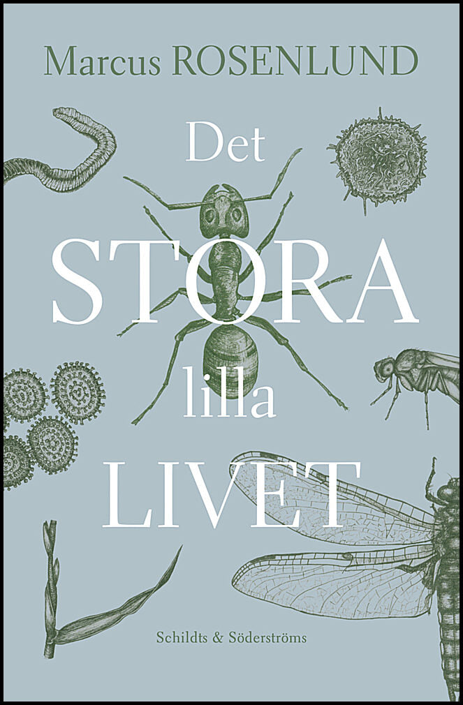 Rosenlund, Marcus | Det stora lilla livet