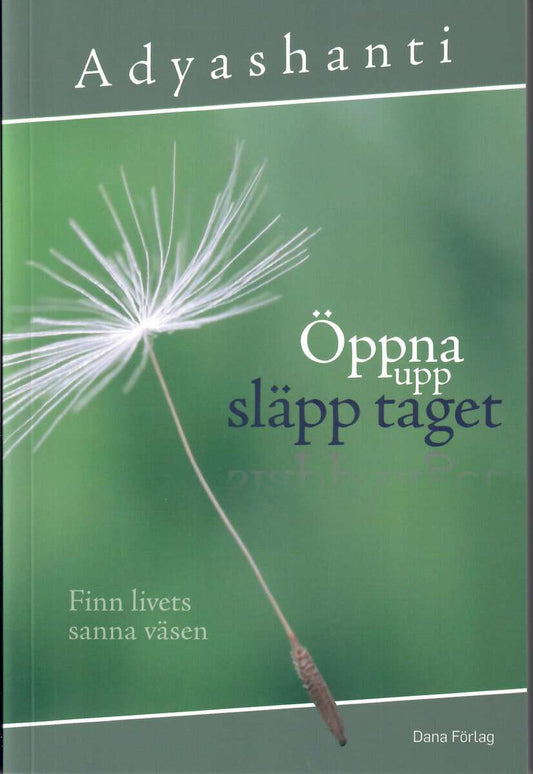 Adyashanti | Öppna upp, släpp taget : Finn livets sanna väsen