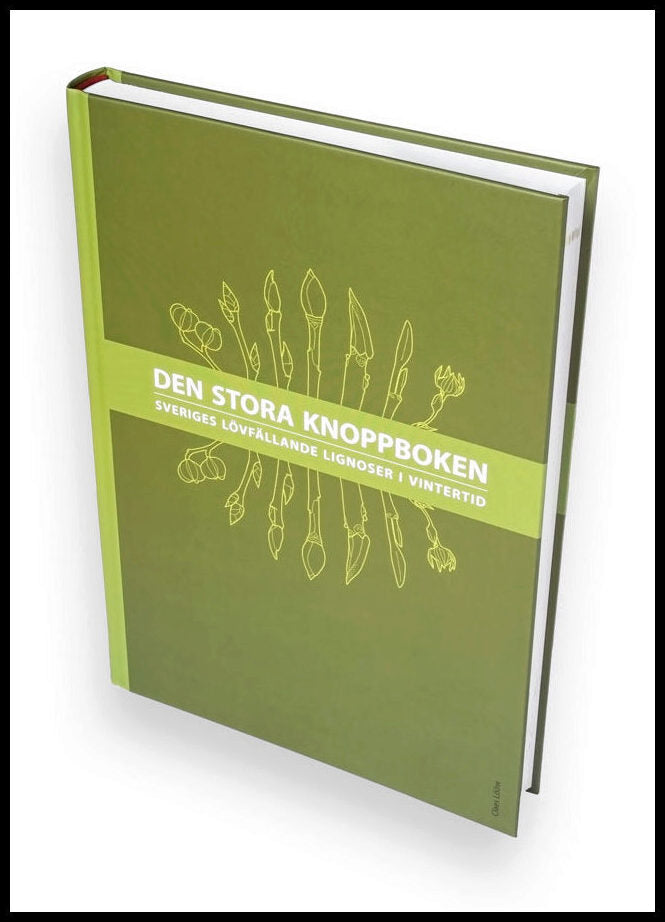 Lööw, Claes | Den stora knoppboken : Sveriges lövfällande lignoser i vintertid