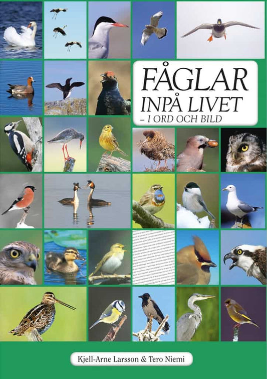 Larsson, Kjell-Arne | Fåglar inpå livet : I ord och bild