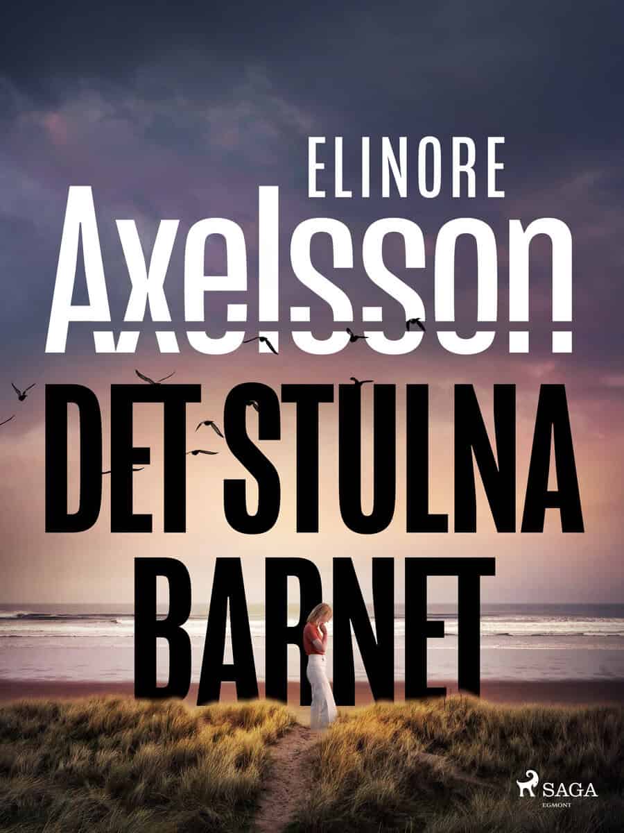Axelsson, Elinore | Det stulna barnet