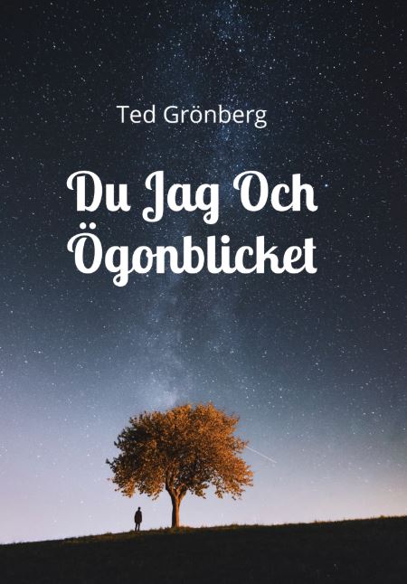 Grönberg, Ted | Du, jag och ögonblicket