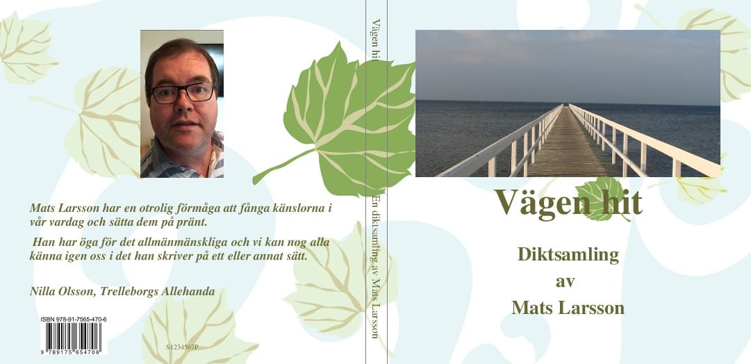 Larsson, Mats | Vägen hit