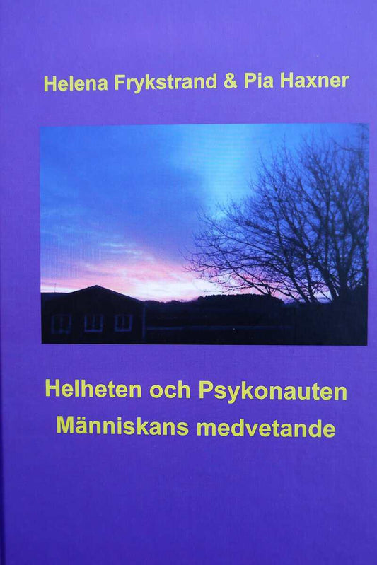 Frykstrand, Helena | Haxner, Pia | Helheten och Psykonauten : Människans medvetande