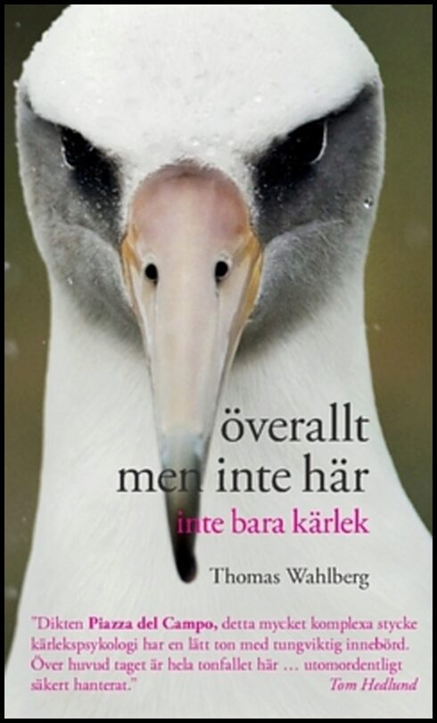 Wahlberg, Thomas | Överallt men inte här : Inte bara kärlek