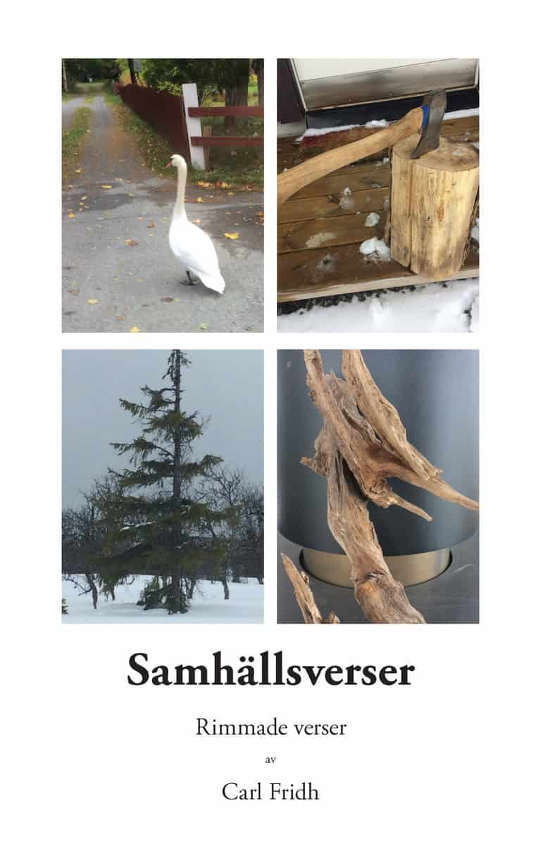 Fridh, Carl | Samhällsverser