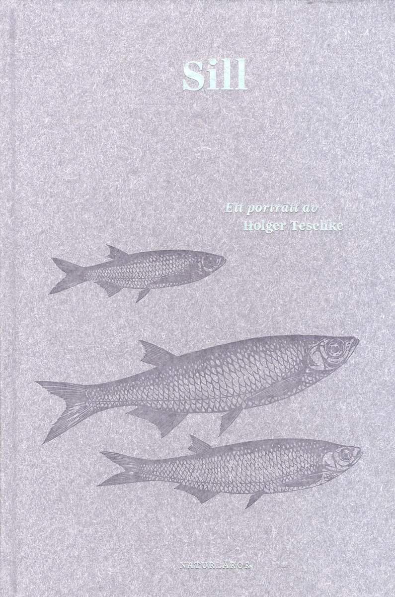 Teschke, Holger | Sill