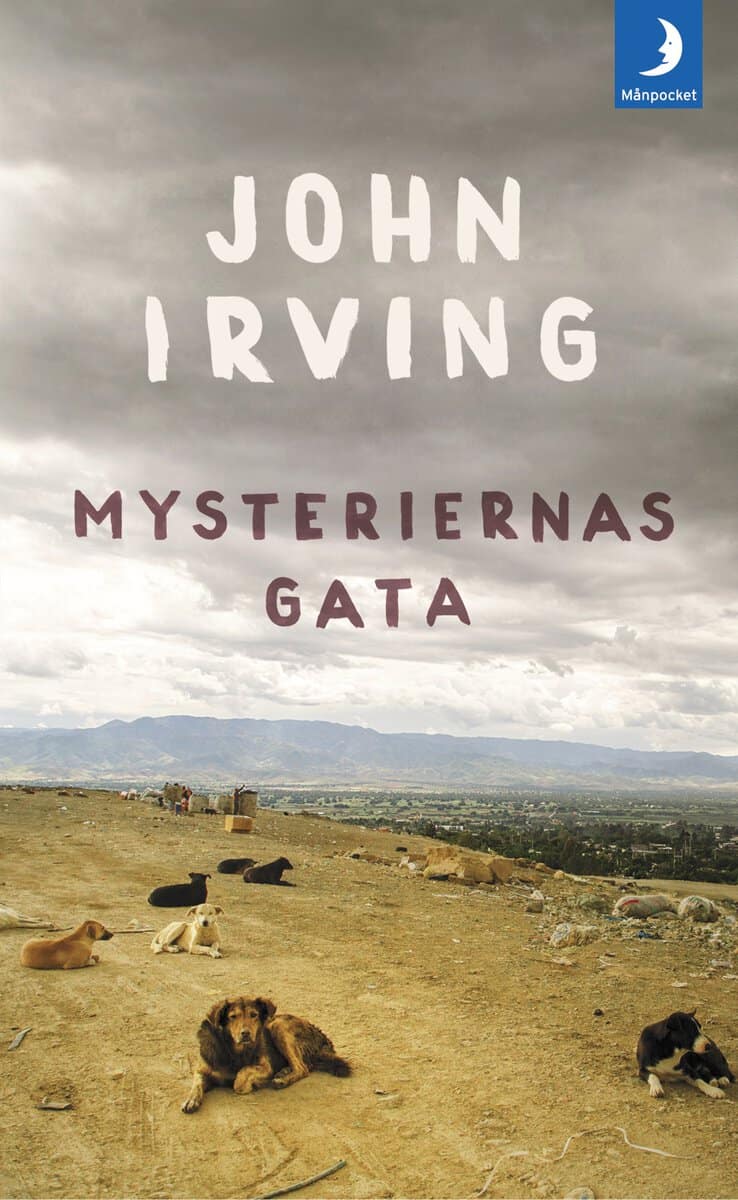 Irving, John | Mysteriernas gata