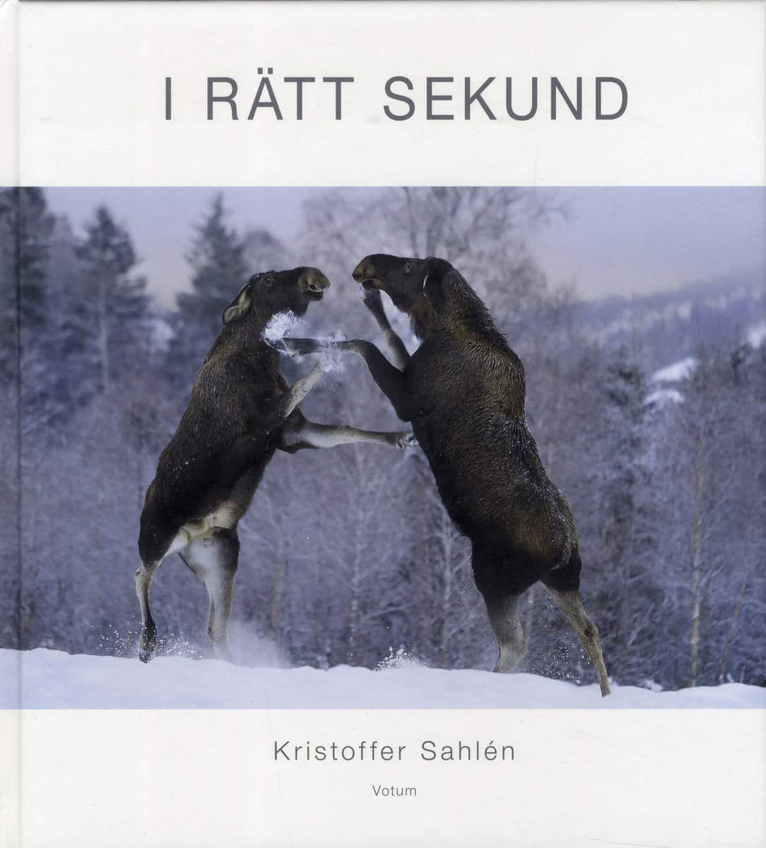 Sahlén, Kristoffer | I rätt sekund