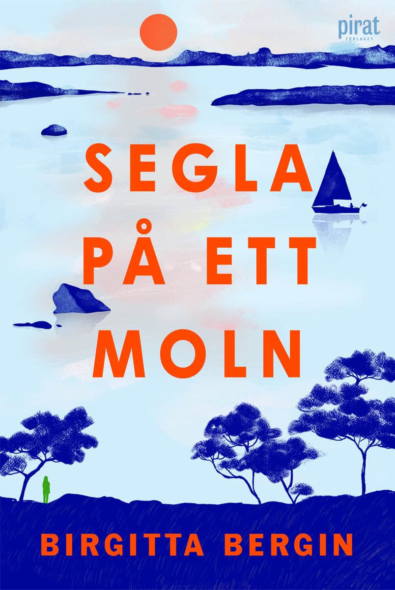 Bergin, Birgitta | Segla på ett moln