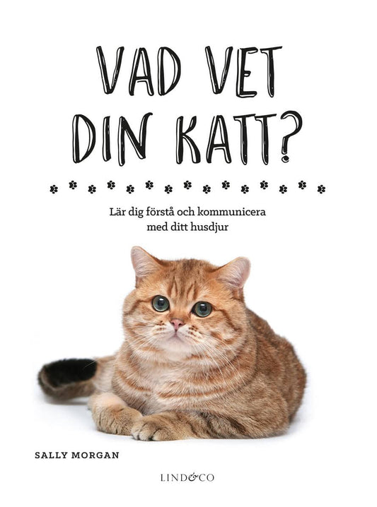 Morgan, Sally | Vad vet din katt? : Lär dig förstå och kommunicera med ditt husdjur