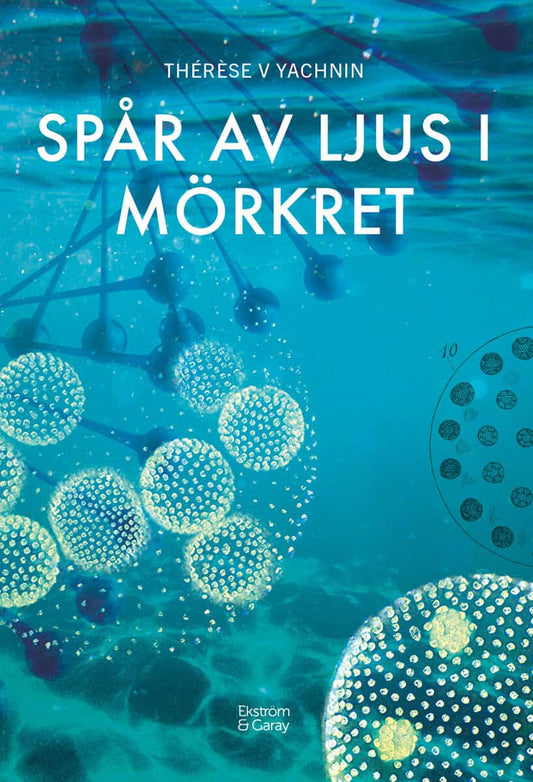 Yachnin, Thérèse V | Spår av ljus i mörkret