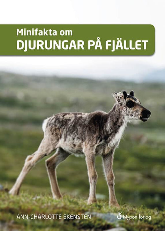 Ekensten, Ann-Charlotte | Minifakta om djurungar på fjället