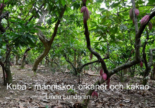 Lundgren, Linda | Kuba : Människor, orkaner och kakao