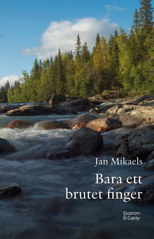 Mikaels, Jan | Bara ett brutet finger