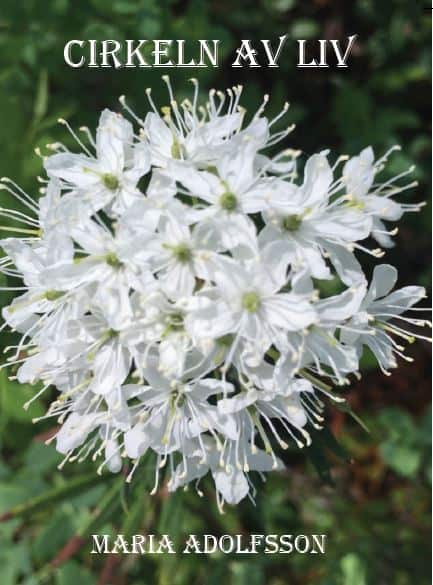 Adolfsson, Maria | Cirkeln av liv