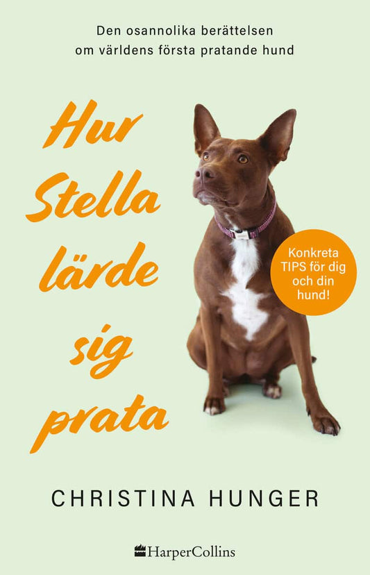 Hunger, Christina | Hur Stella lärde sig prata