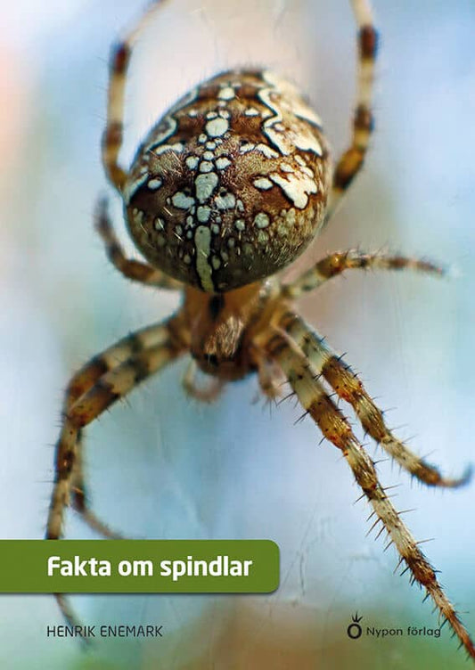 Enemark, Henrik | Fakta om spindlar