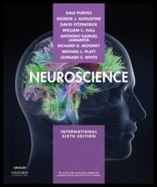 Platt, Michael| Purves, Dale| Augustine, George| Fitzpatrick, David [red.] | Neuroscience