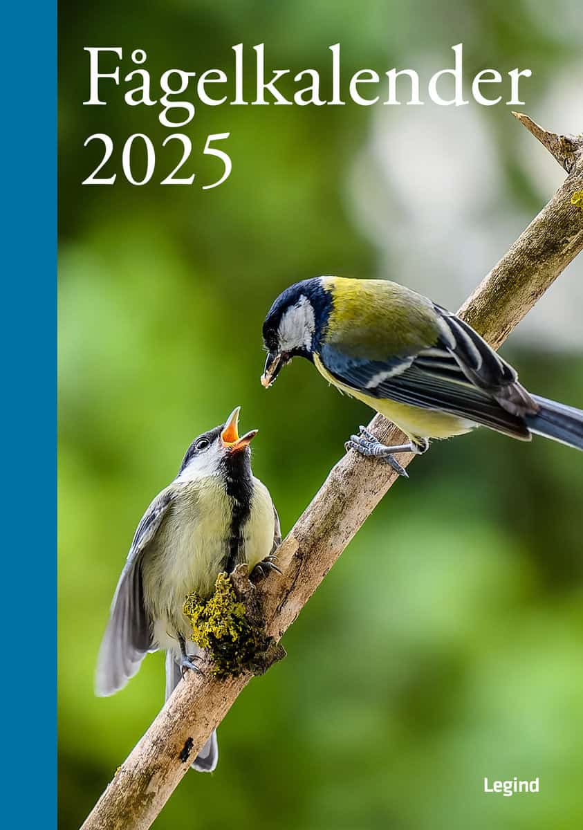 Legind | Fågelkalender 2025