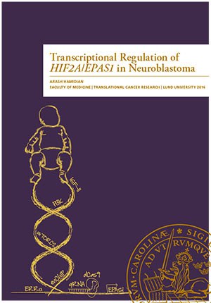 Hamidian, Arash | Transcriptional Regulation of HIF2A/EPAS1 in Neuroblastoma