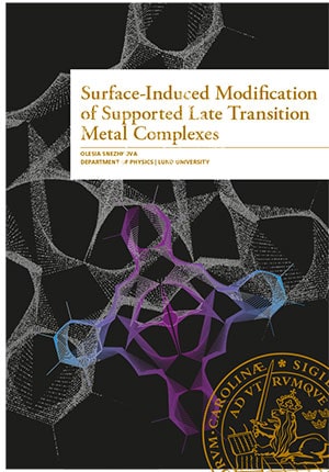 Snezhkova, Olesia | Surface-Induced Modification of Supported Late Transition Metal Complexes