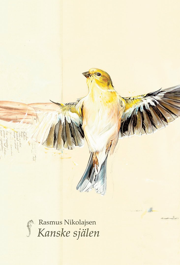 Nikolajsen, Rasmus | Kanske själen : Familjeversberättelse