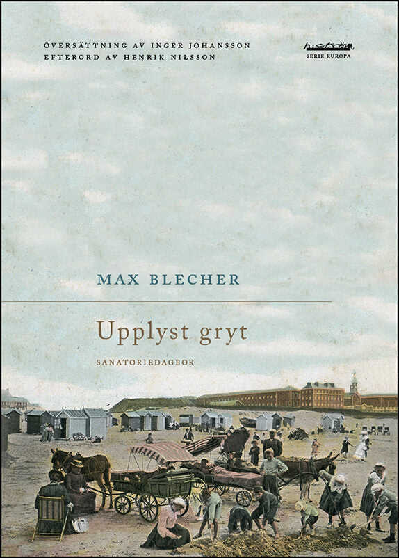 Blecher, Max | Upplyst gryt : Sanatoriedagbok