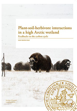 Falk, Julie Maria | Plant-soil-herbivore interactions in a high Arctic wetland