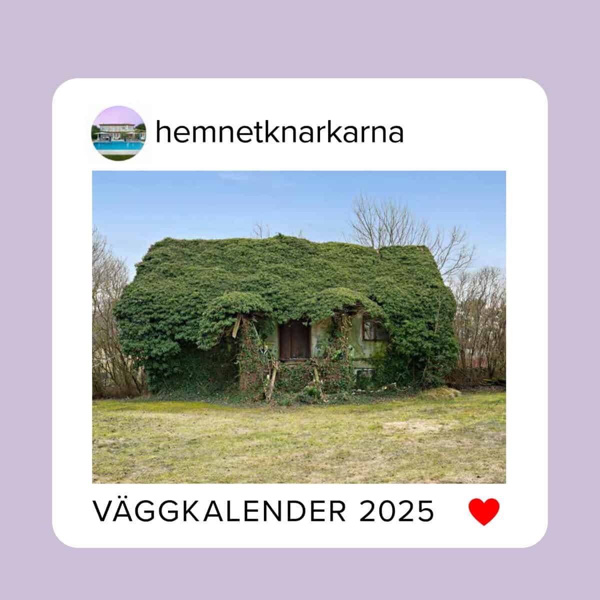 Hemnetknarkarna : Väggkalender 2025