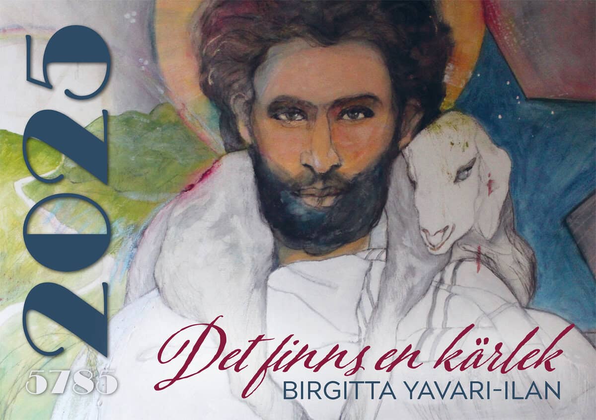 Yavari-Ilan, Birgitta | Det finns en kärlek 2025